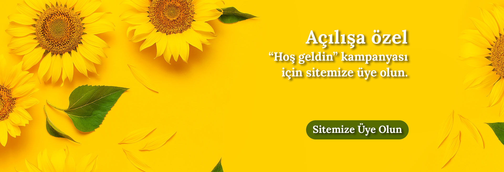 2orkide_banner_1920x655px.jpg (188 KB)